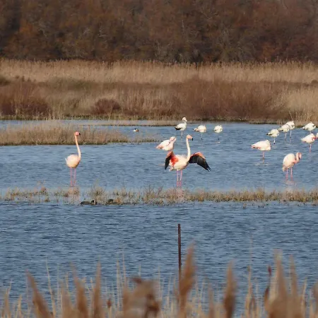 Des Jonquies, Au Calme Vue Sur Le Canal Du Midi Et La * Portiragnes