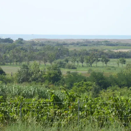 Des Jonquies, Au Calme Vue Sur Le Canal Du Midi Et La Portiragnes