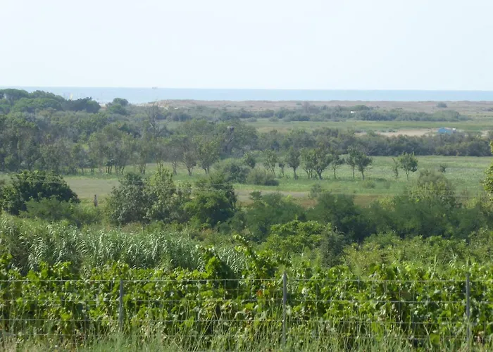 Des Jonquies, Au Calme Vue Sur Le Canal Du Midi Et La Portiragnes