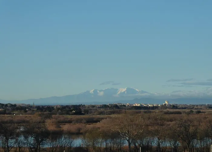 Des Jonquies, Au Calme Vue Sur Le Canal Du Midi Et La * Portiragnes